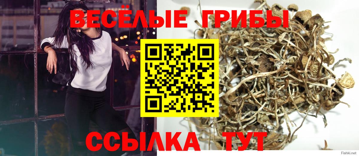 Галлюциногенные грибы Magic Shrooms  Вход с VPN  Бирск 